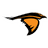 Anderson (IN) Ravens
