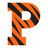 Princeton Tigers