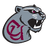 Concord Mountain Lions