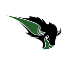 Oklahoma Baptist Bison