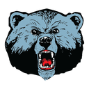 Livingstone Blue Bears