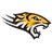 Towson Tigers
