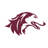 Southern Illinois Salukis