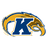 Kent State Golden Flashes