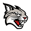 Davidson Wildcats