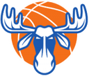 Jämtland Basket