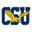 Coppin State Eagles