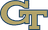Georgia Tech Yellow Jackets