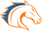 UT Arlington Mavericks