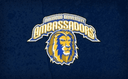 Oakwood Ambassadors