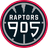 Raptors 905
