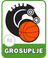 Grosuplje