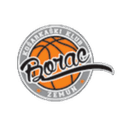 Borac Zemun