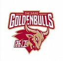 Zhejiang Golden Bulls