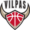 Salon Vilpas Vikings