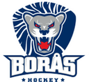 Boras