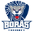 Boras