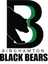 Binghamton Black Bears