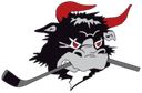 Rodovre Mighty Bulls