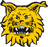 Ilves Tampere