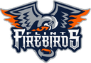 Flint Firebirds