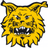 Ilves Tampere U20