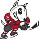 Niagara IceDogs