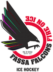Fassa