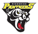 Ringerike