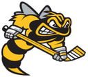 Sarnia Sting