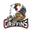 Grand Rapids Griffins