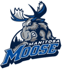Manitoba Moose