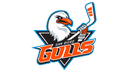 San Diego Gulls