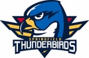 Springfield Thunderbirds