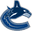 Vancouver Canucks