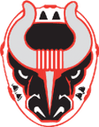 Birmingham Bulls