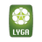 A Lyga