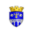 Edineţ