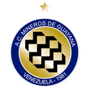 Mineros de Guayana