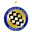 Mineros de Guayana