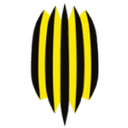 Rukh Vynnyky