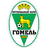 FC Gomel