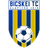 Bicskei