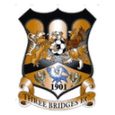 Three Bridges