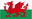 Wales U21