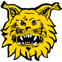 Ilves