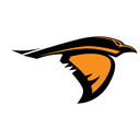 Anderson (IN) Ravens